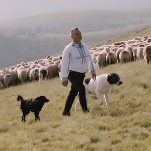 Florin Toader - Din Carpa Spre Ausel