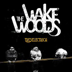 Hole in the Sun by The Wake Woods