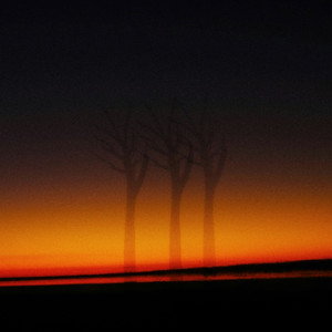 transience by drmycat, icey wavs