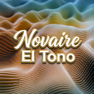 Te Perdi by Novaire El Tono