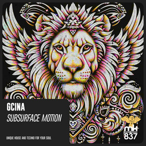 District 6 Groove