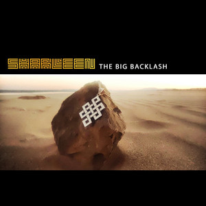 The Big Backlash by Sharleen