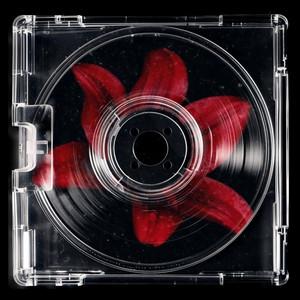 TONNY - ხომ დამპირდი?