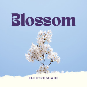 Blossom by ELECTROSHADE