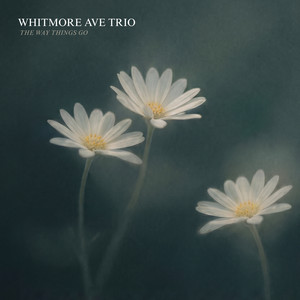 Too Soon to Tell by Whitmore Ave Trio