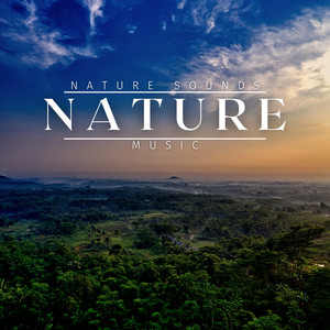 Soft Rain, Piano with Minimal Birds, An Easy Nature Track