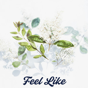 Feel Like by Broo Erke