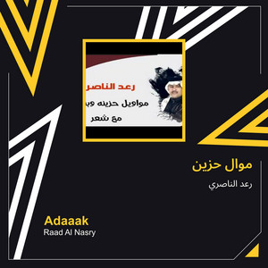 Raad Al Naseri - موال حزين