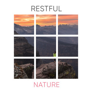 # 1 Album: Restful Nature album
