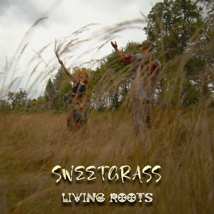 Sweetgrass by Living Roots