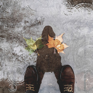 rainy mornings by ryan nick