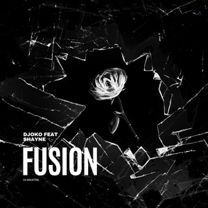 Djoko - Fusion (feat. Shayne)