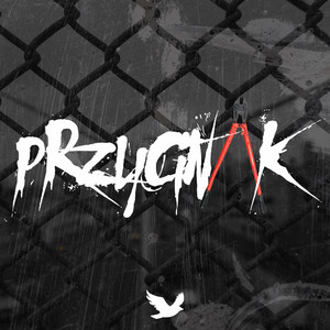 Portada de Przycinak