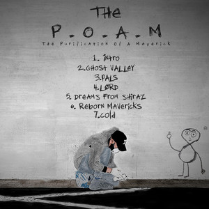 The P.O.A.M cover