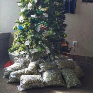 percizeshwty - Zooted (feat. Wybie)