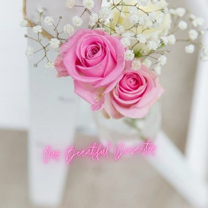 Our Beautiful Disaster