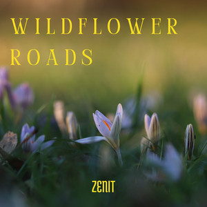 Wildflower Roads by Zenit