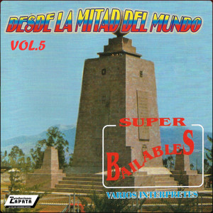 Nelly Romero - Ay Mi Suerte