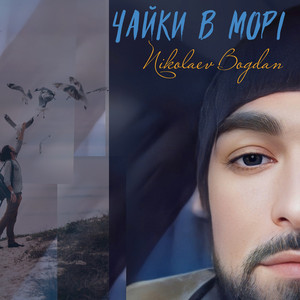 Чайки в морі