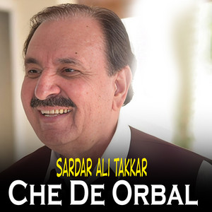 Sardar Ali Takkar - Meena