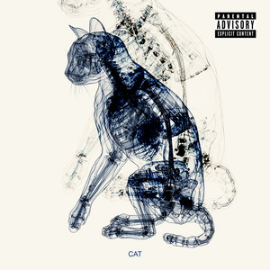 Cat by Doc Backer
