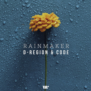 Rainmaker by D-Region & Code