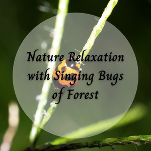 Nature Relaxation with Singing Bugs of Forest album