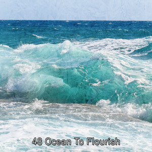 48 Ocean To Flourish album