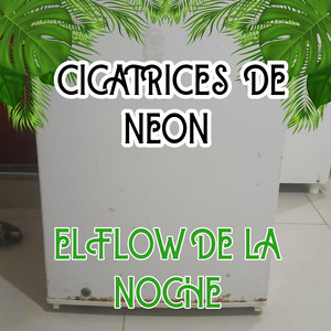 CICATRICES DE NEON by EL FLOW DE LA NOCHE