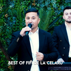 FIFI de la Celaru - Orice Roata Se Intoarce