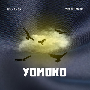 Werden Music - YOMOKO (feat. Pis mamba)