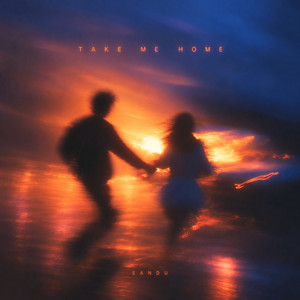 Take Me Home by Sandu
