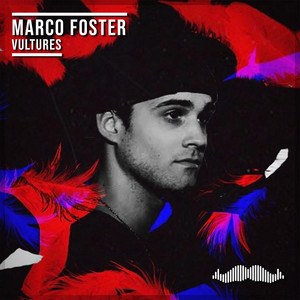 Vultures by Marco Foster