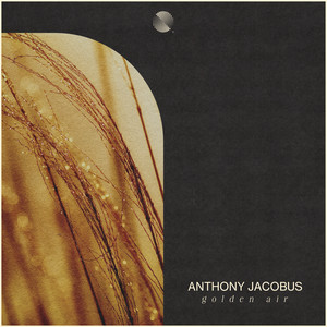Golden Air by Anthony Jacobus