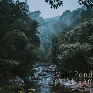 Sleepy Stream I by Mill Pond