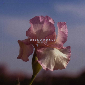 Cedar Sky by Willowdale