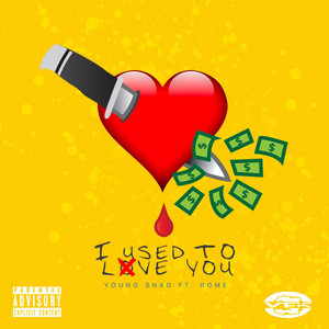 I Used to Love You by Young Snag, ROME