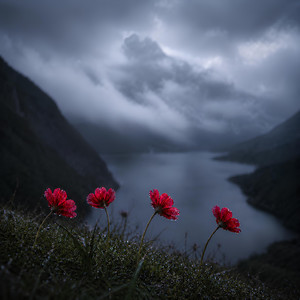 The Path We Walked by Giulio Librizzi