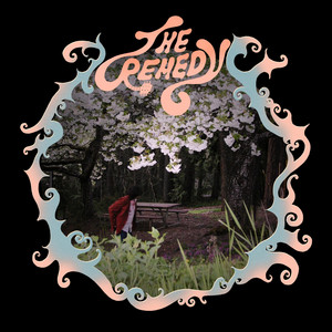 Too Late by The Remedy
