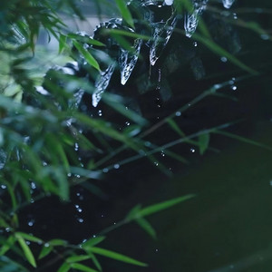 山听雨 by 羽肿