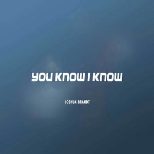 You Know I Know - Acoustic by Joshua Brandt