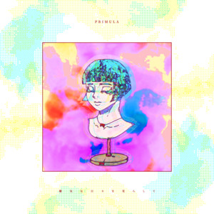 Oborogenahibiwoarasite - Primula