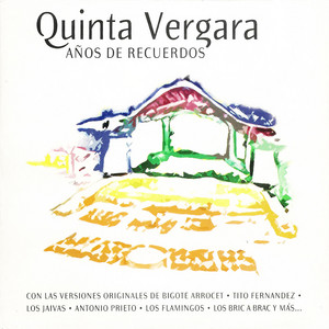 La gaviota by Tony Stevens