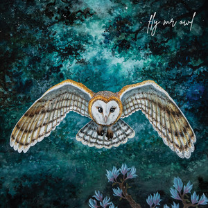 Fly Mr Owl by Our Atlantic Roots