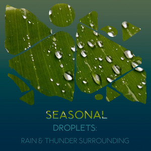 zZz Seasonal Droplets: Rain & Thunder Surrounding the Woods zZz album