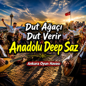 Dut Ağaçı Dut Verir by Anadolu Deep Saz