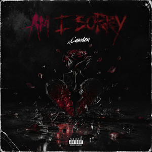 Am I Sorry by xCamden