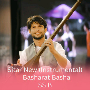 SS B - Sitar New (Instrumental) [feat. basharat basha]