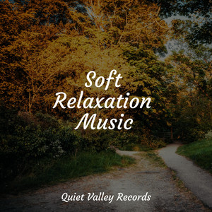 Soft Relaxation Music For Dogs