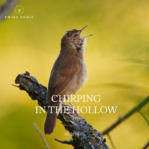 Chirping In The Hollow by Morpheus
